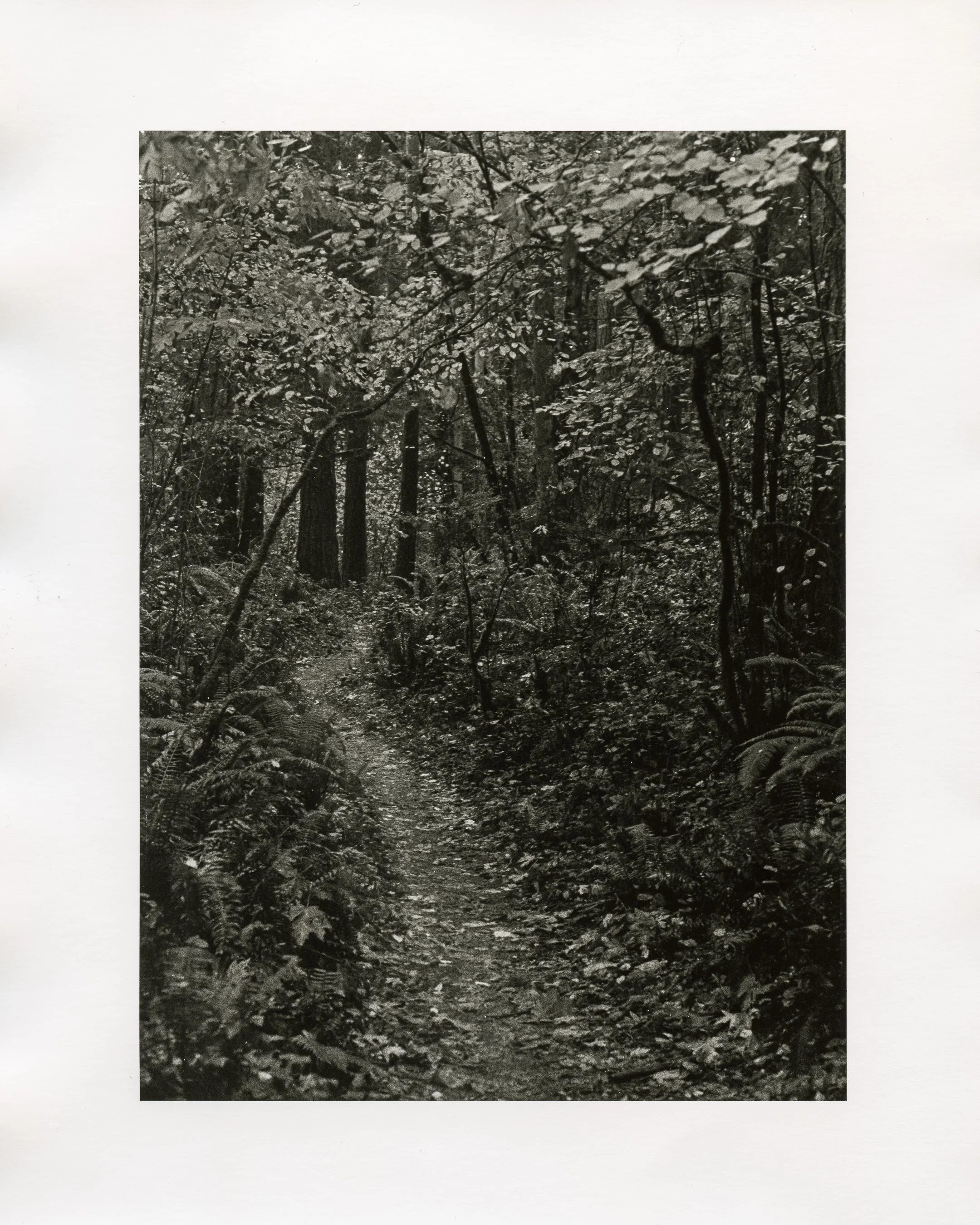 For Web - Vashon I01.jpg