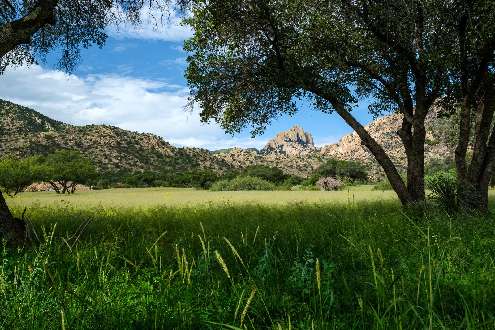 For Web - ALWT - Cochise Stronghold Ranch-493-1.jpg