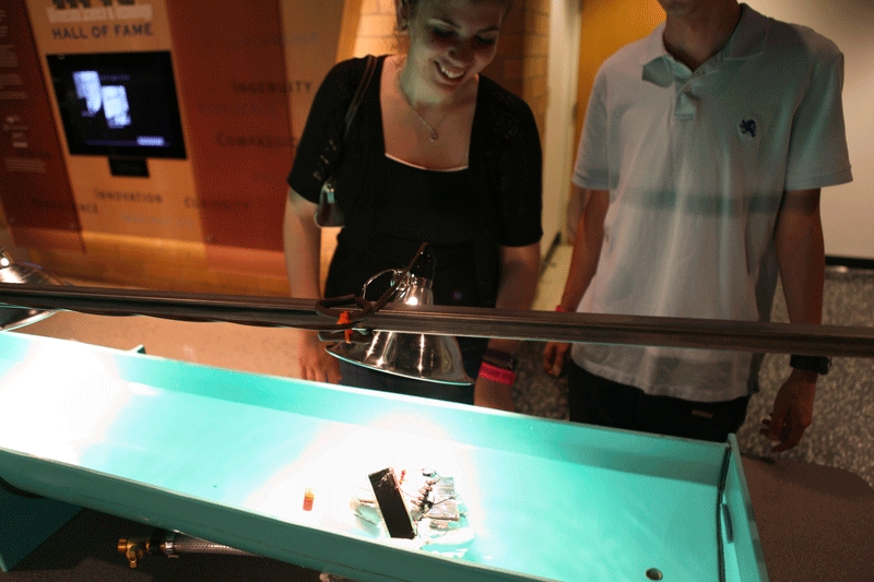 Interactive Activities