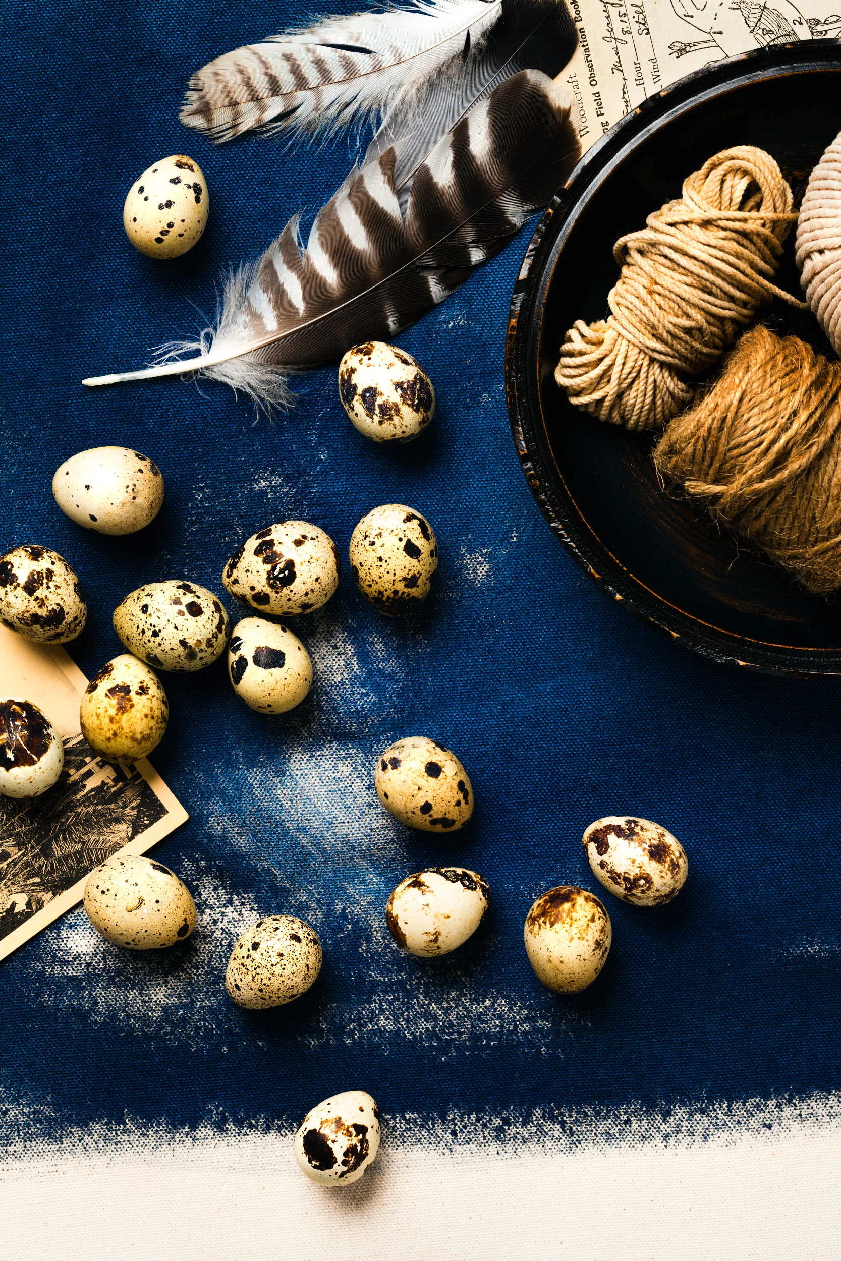 still-life-quail-eggs-lesliegrow.jpg