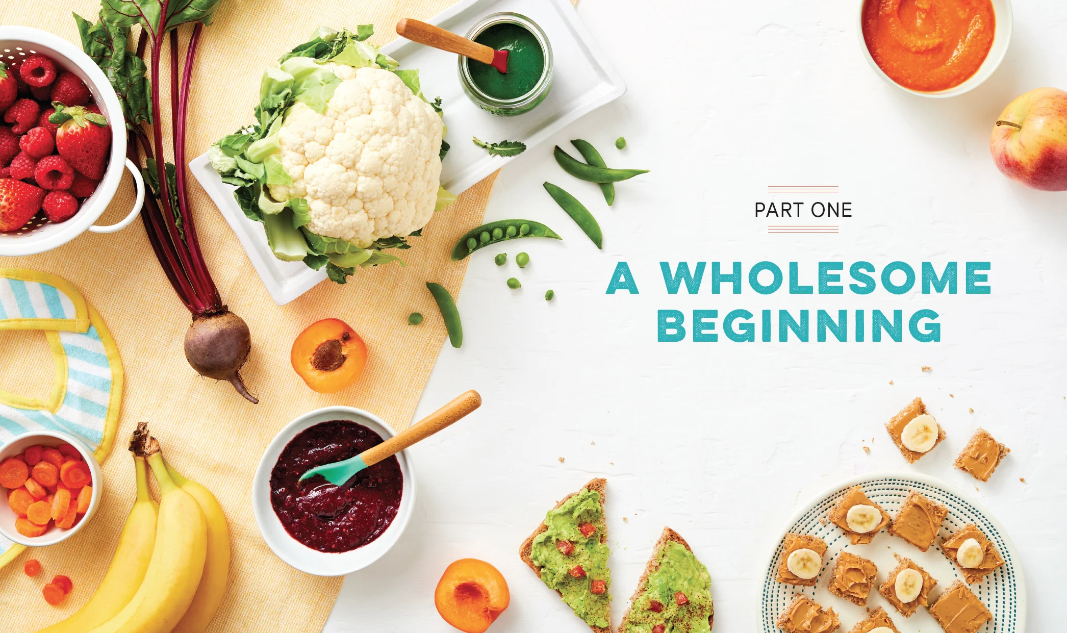 Baby-Cookbook WholesomeBeginning.jpg
