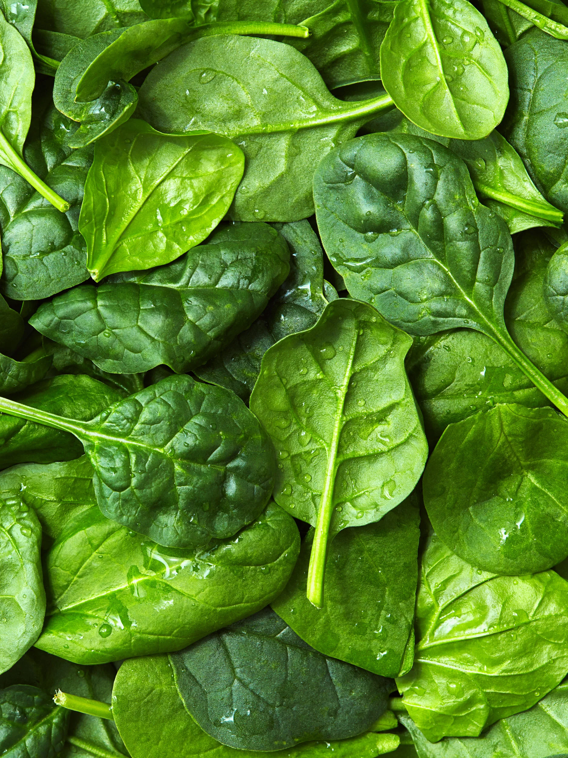 food-spinach-closeup-lesliegrow.jpg