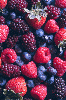 frozen berries_263x400_Reverse.gif