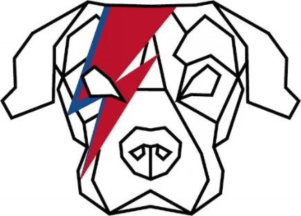 DDLogo.jpeg