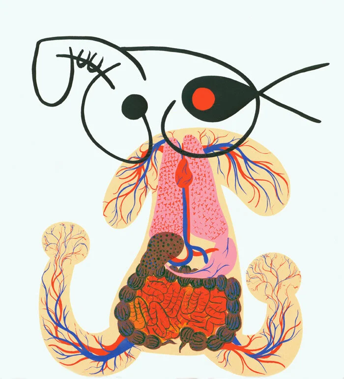 circulatory.jpg