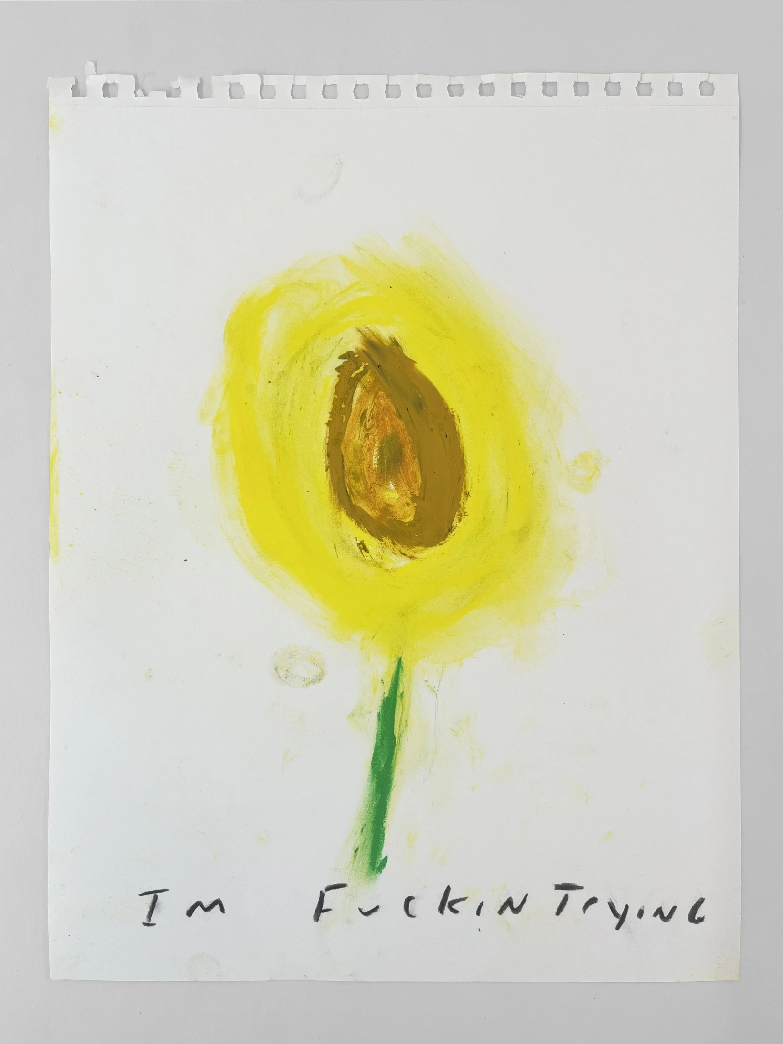 StefanskiEric_Drawing_ImFuckinTrying_14x11.jpg