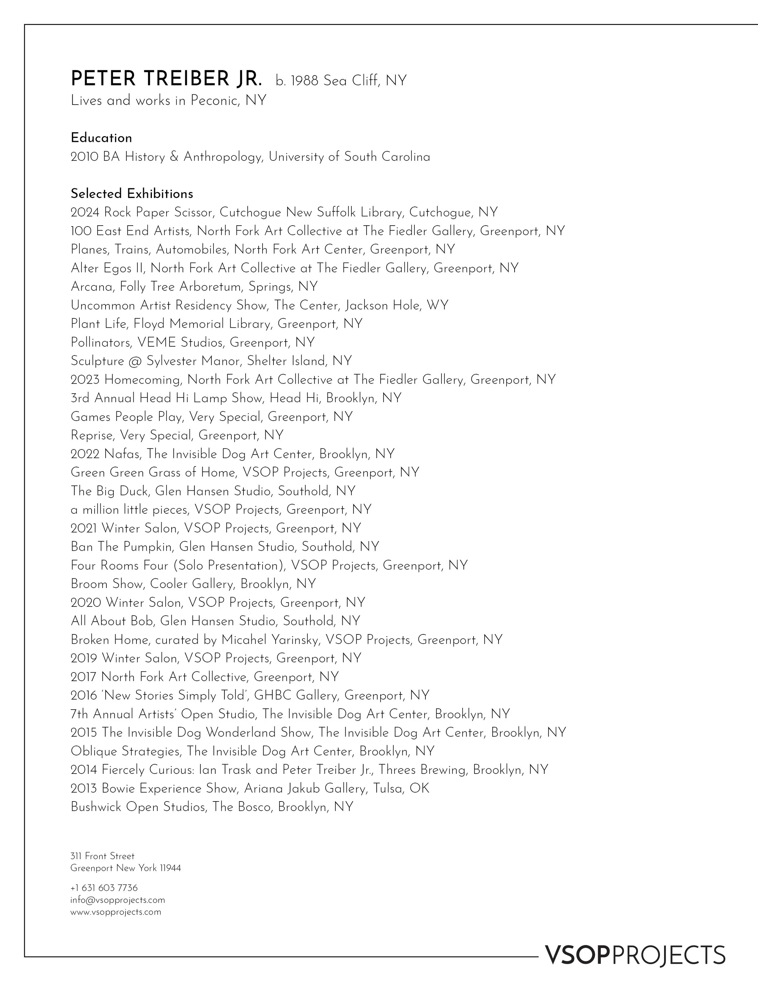 VSOProjects_PeterTreiberJr_CV_pg1.jpg