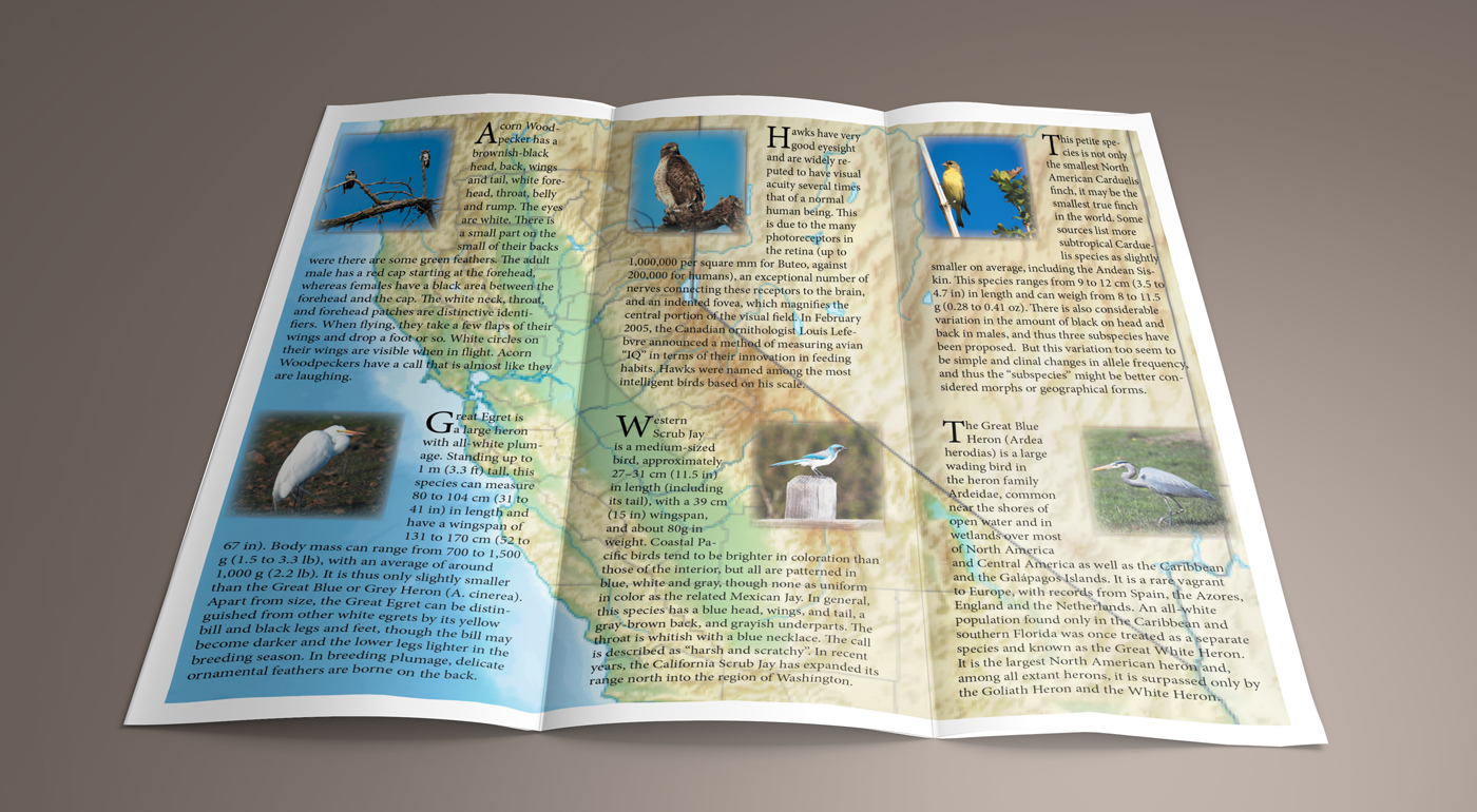 Brochure_02_soft.jpg