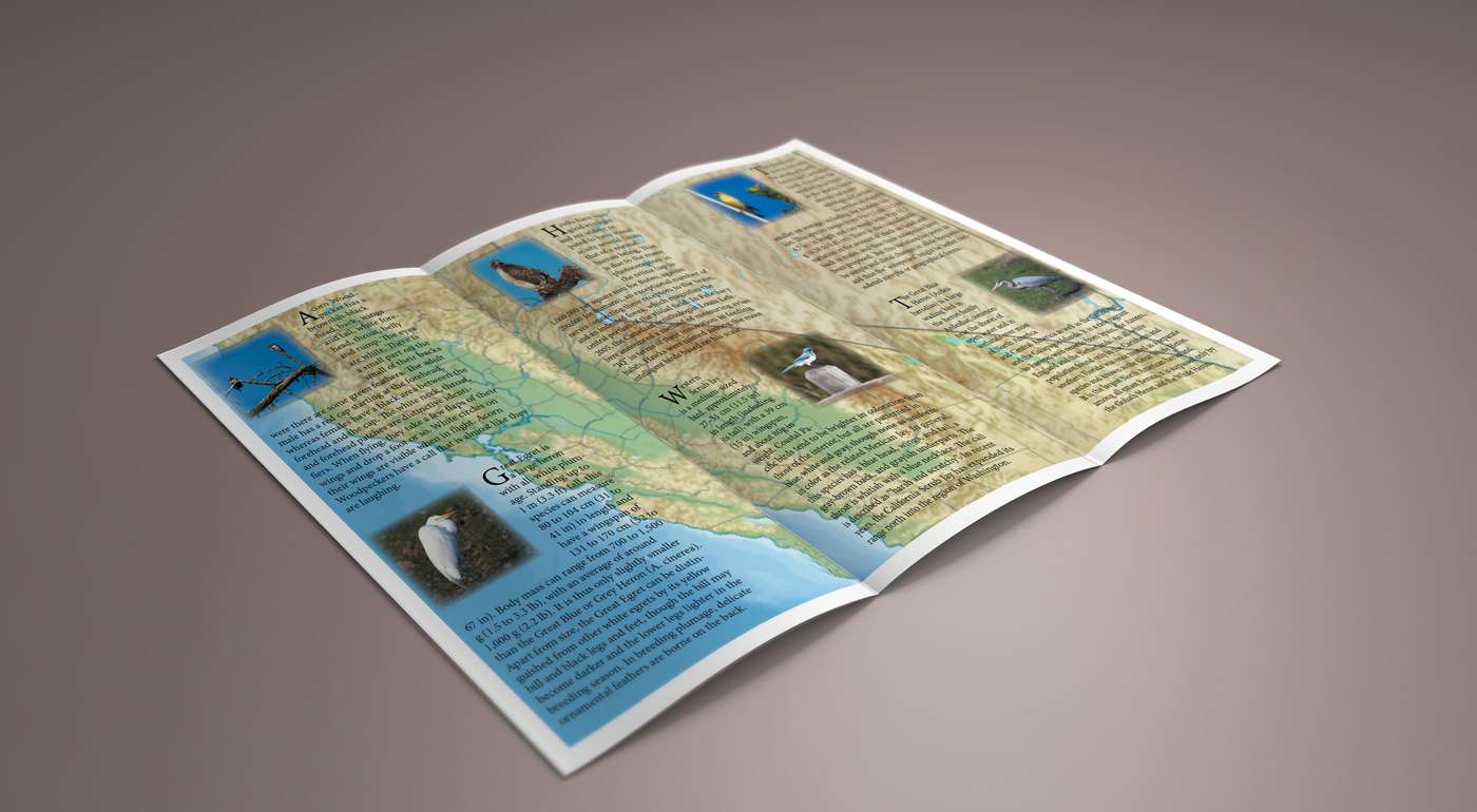 Brochure_03_soft.jpg