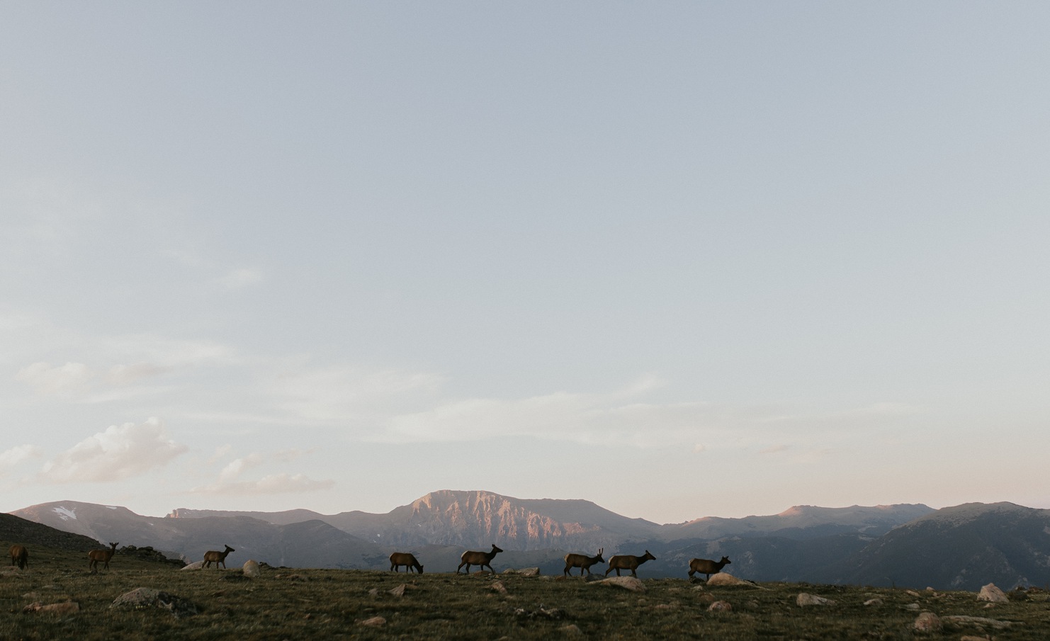 1-Colorado-wedding-photographer93.jpg