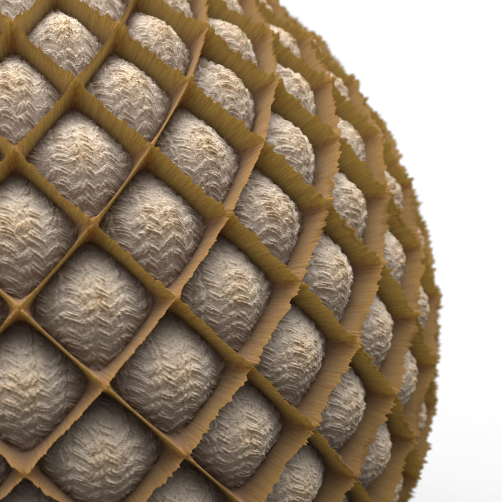 Render.png