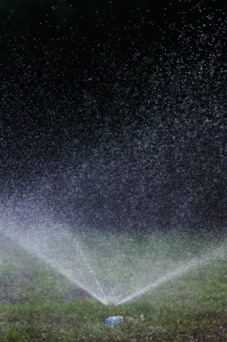 Water Your Grass At Night.