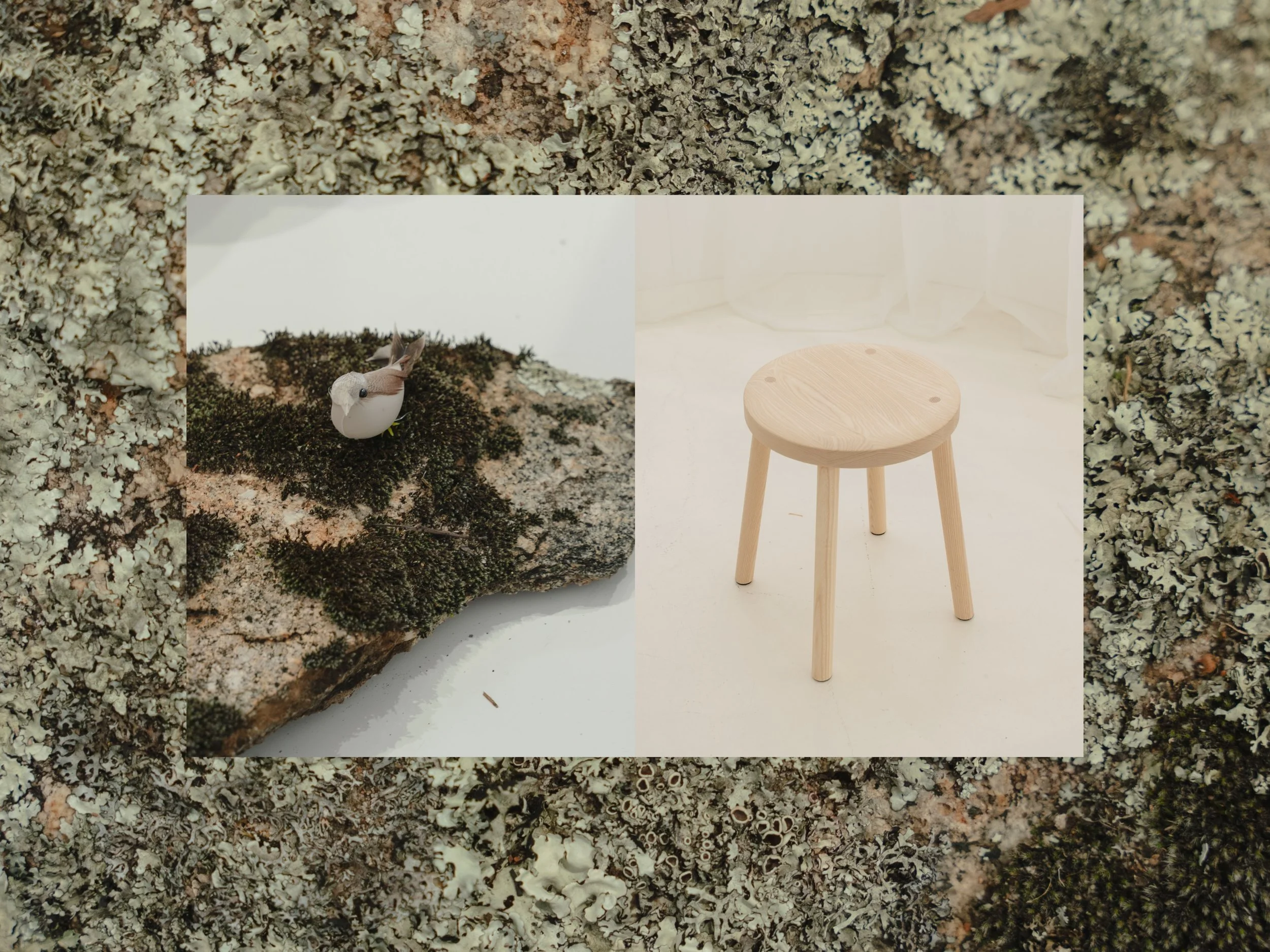 kfivefurniture_1789455481_3986559832681101719_282708319.jpg