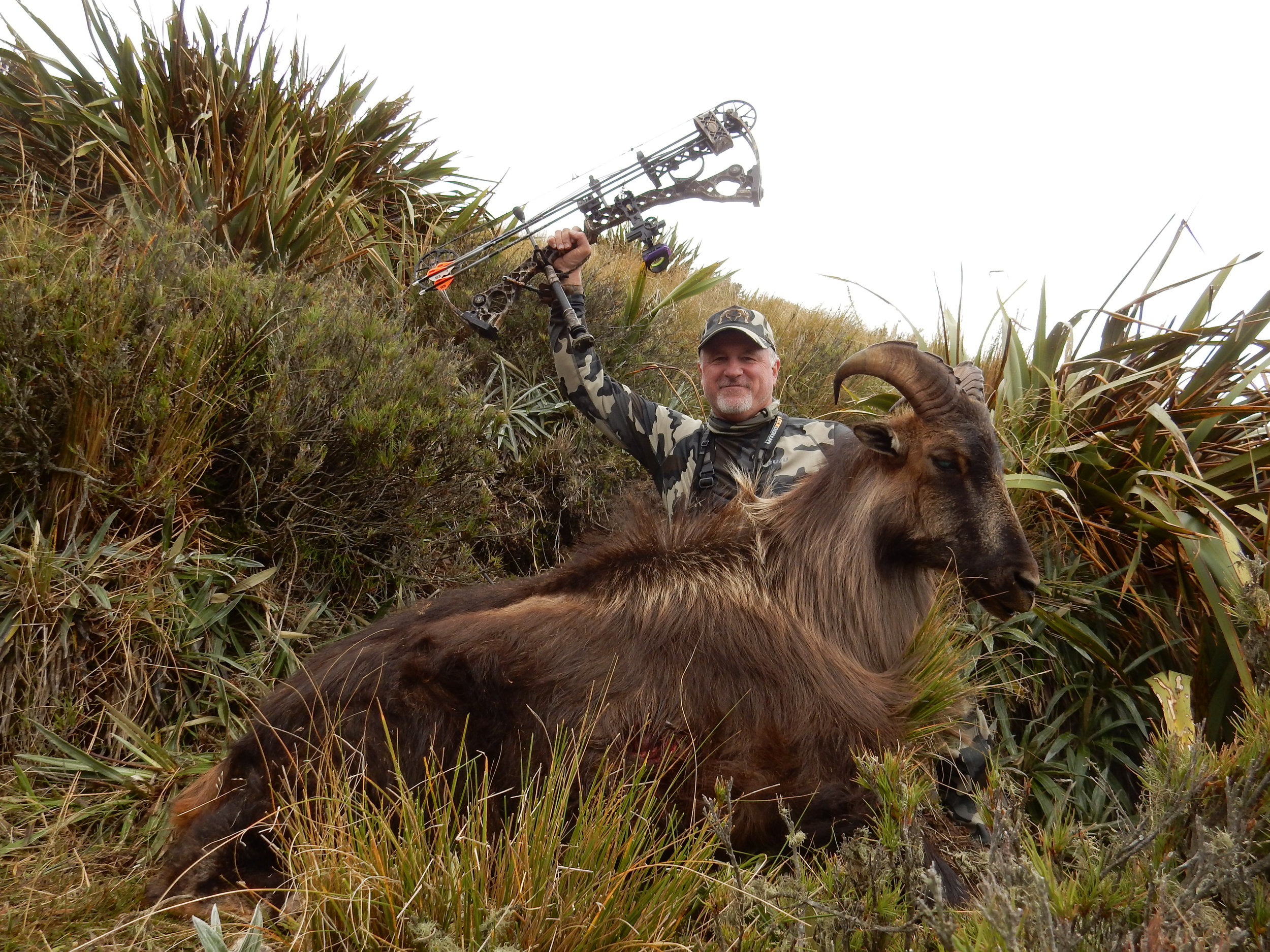 Jim Massey - successful archery Tahr hunt 2016