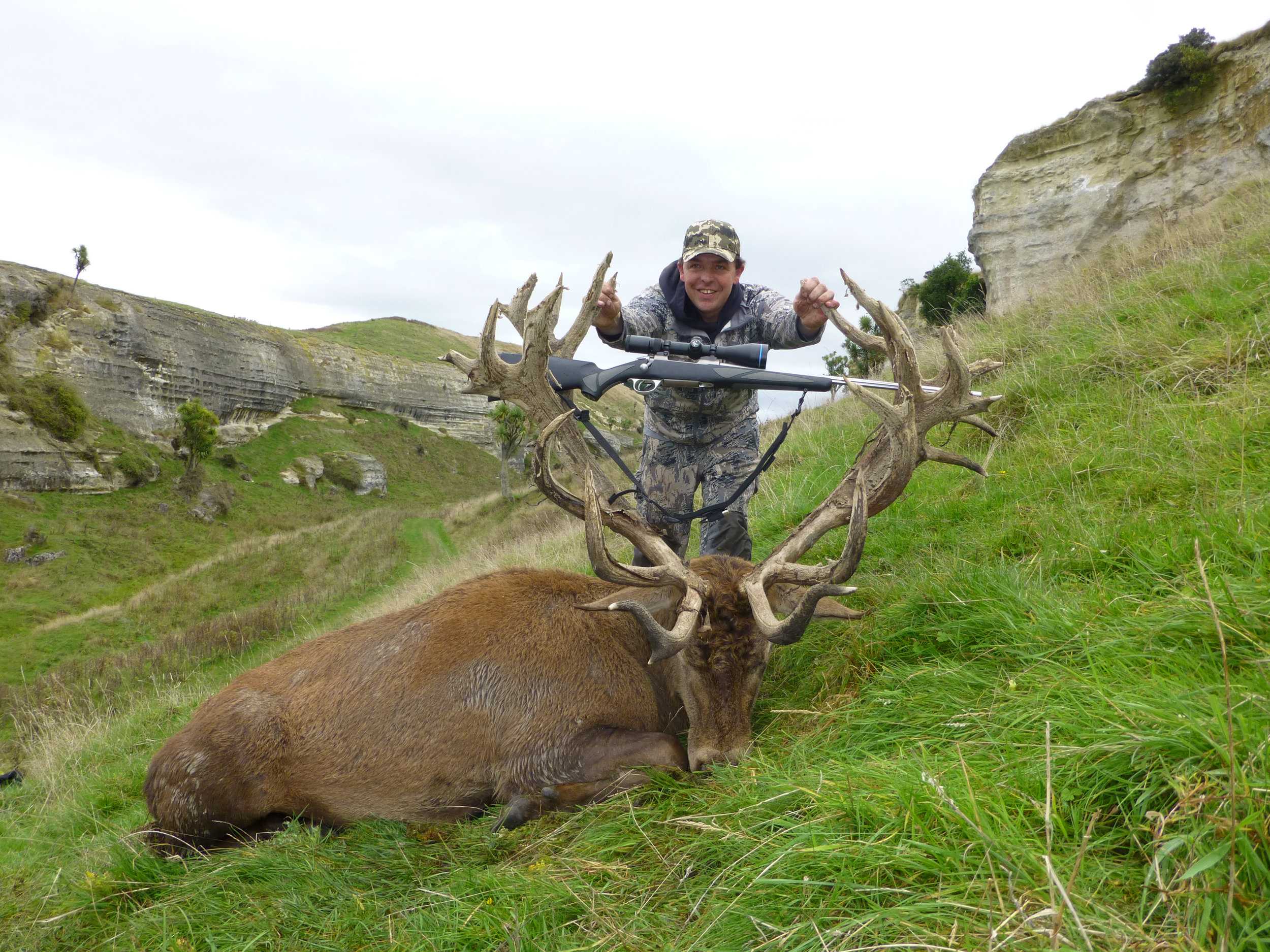 High grade Red Stag