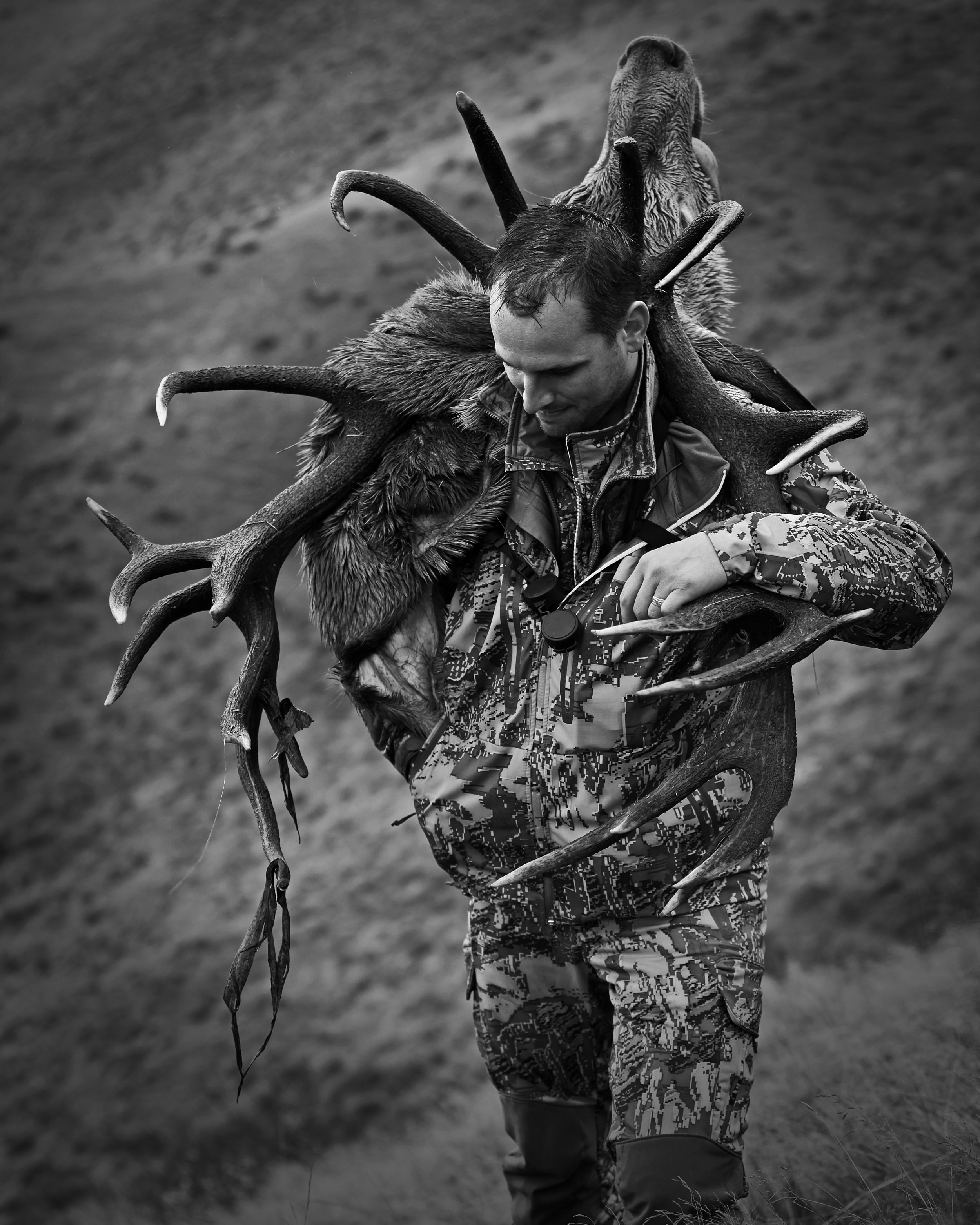 Hunter & trophy Red Stag