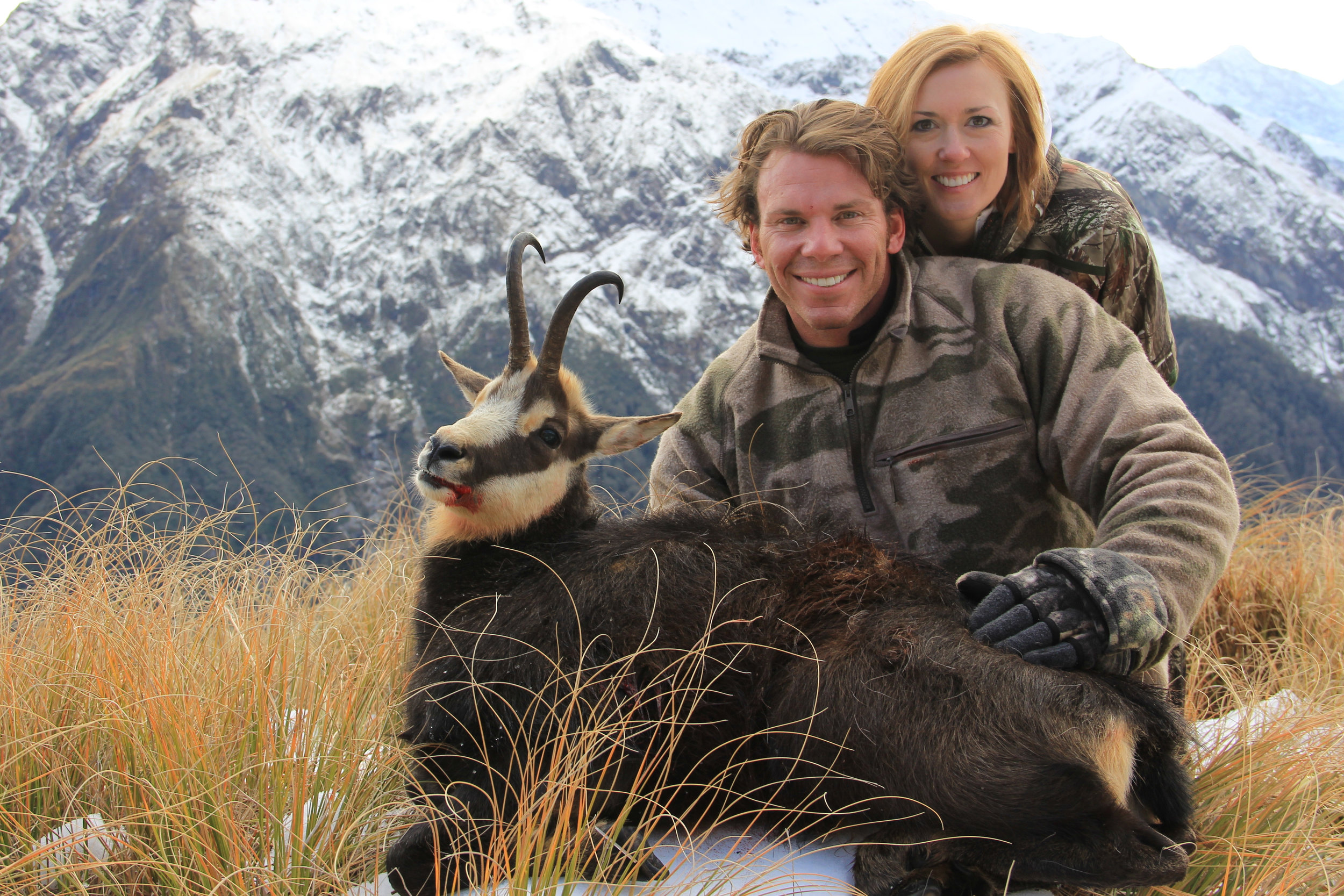 winter hunted Alpine Chamois