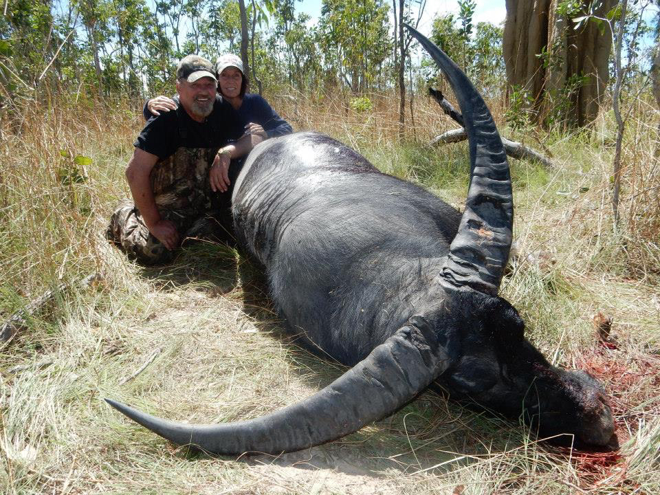 Australian Water Buffalo (John Byler & Heather Rineer)