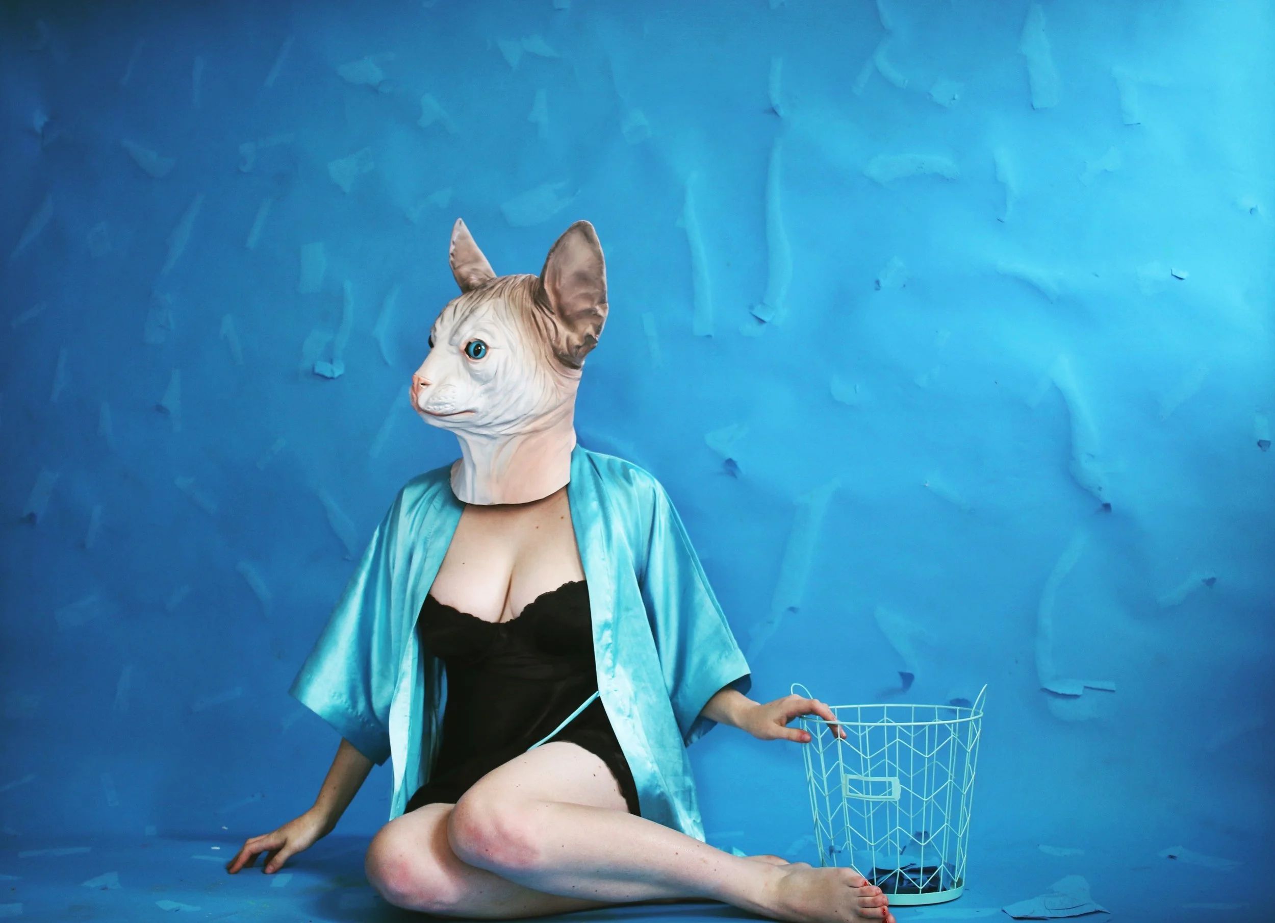 ripped to shreds.JPG