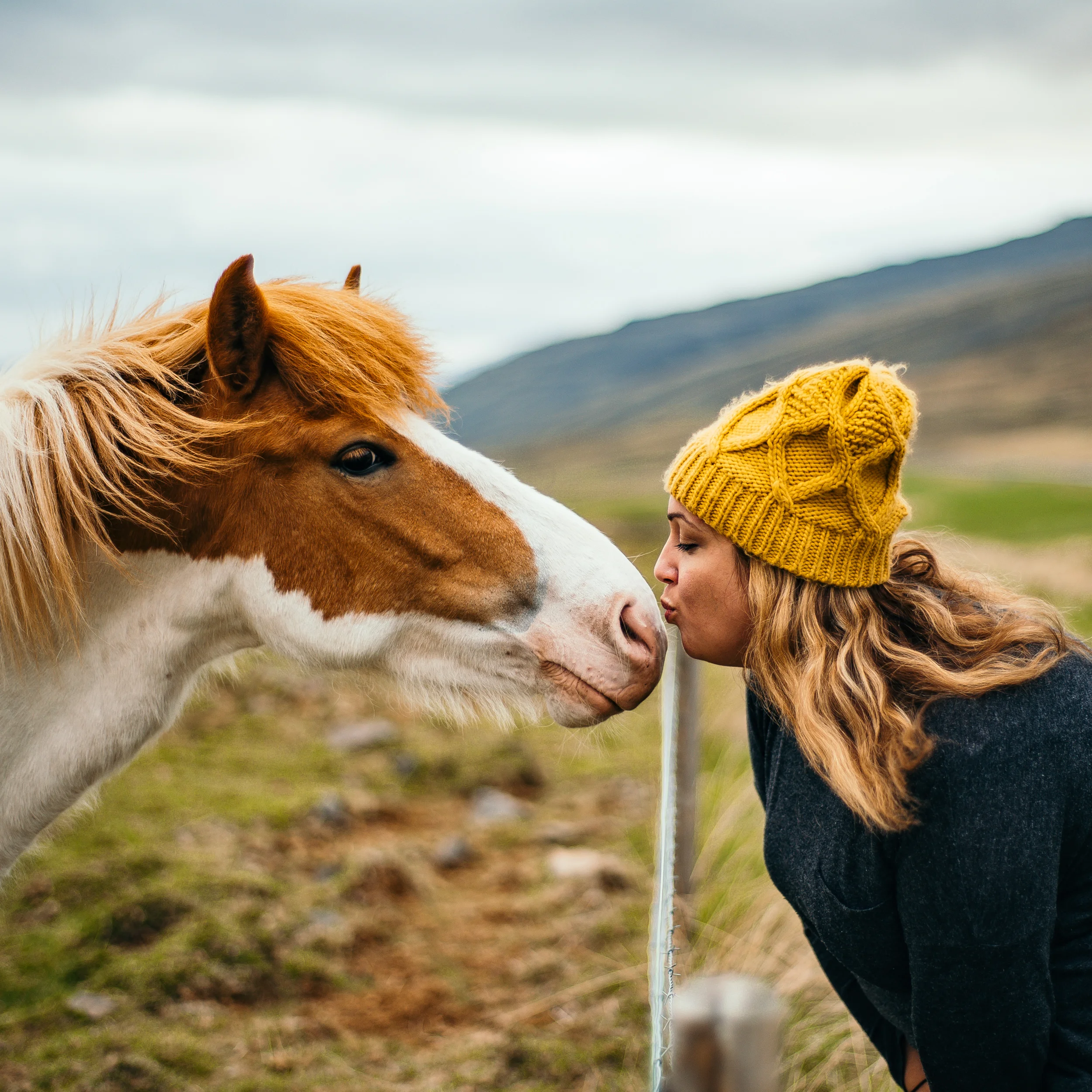 Her love for horses runs deep. On an Icelandic adventure with her husband (2016) - photo courtesy of Ryan Brien