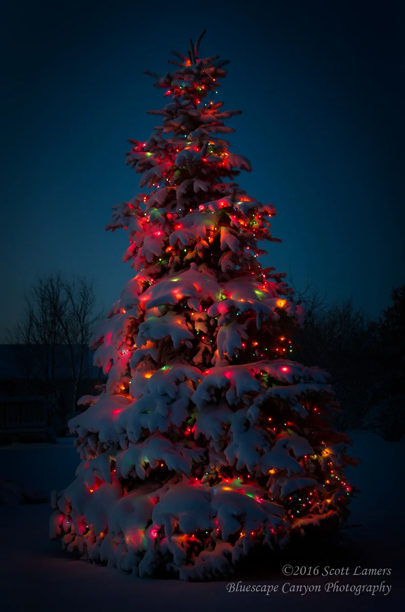 Light Snow