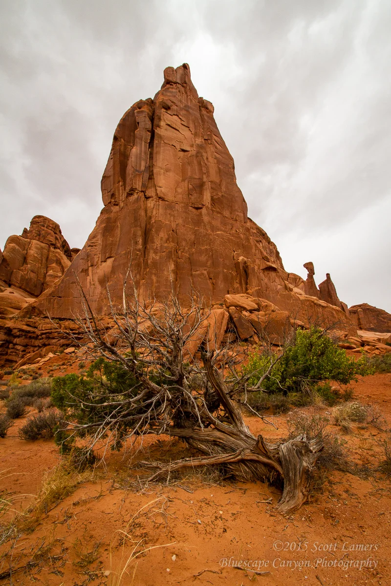 20111005_7D_00054.jpg