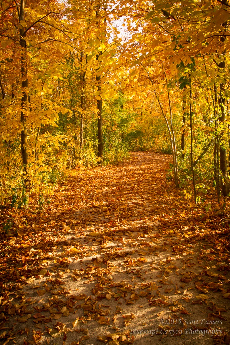 20121002_7D_0011108.jpg