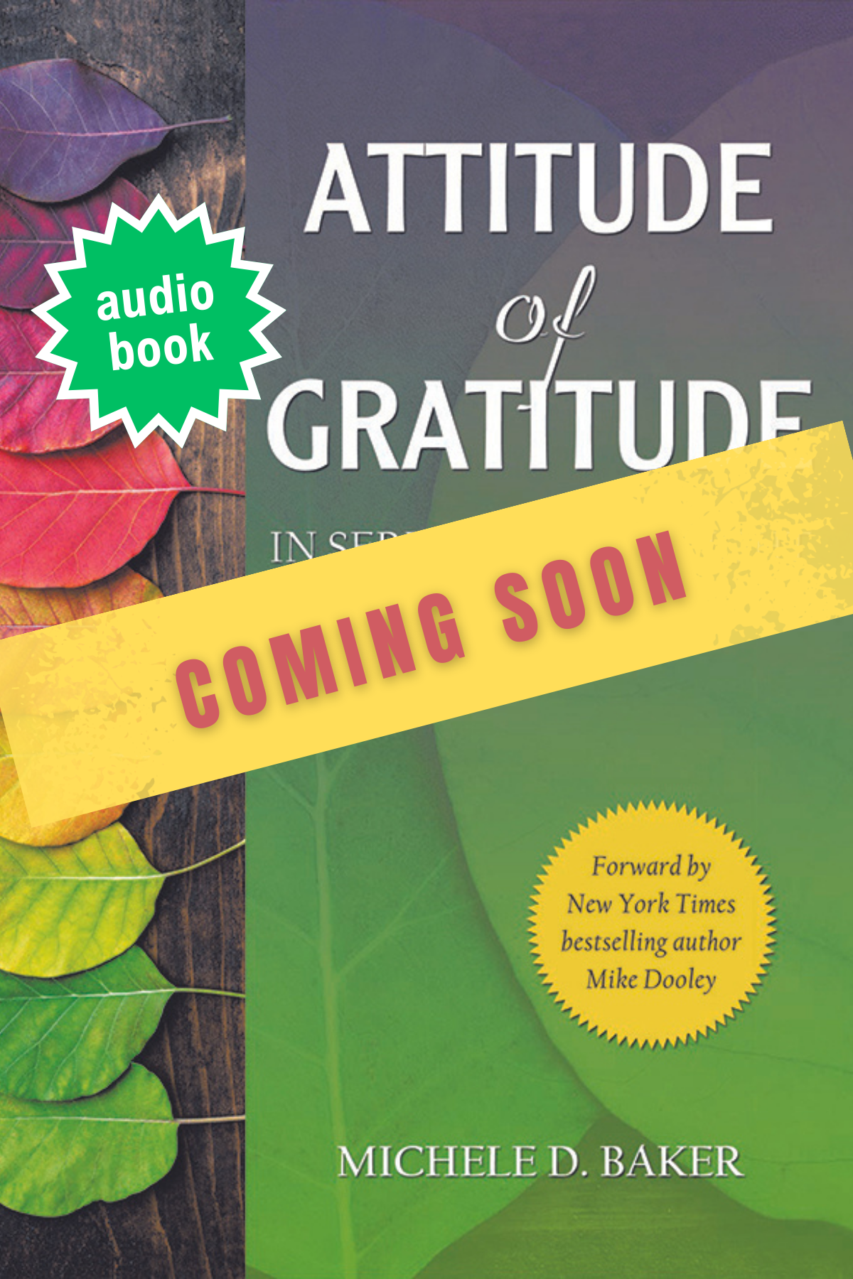 AOG audiobook coming soon (4 x 6 in).png