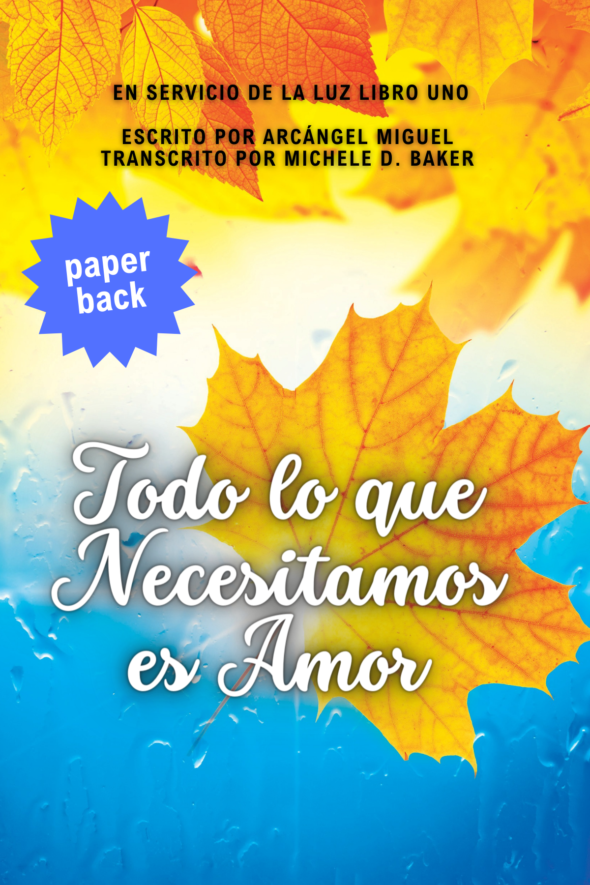 AWNIL Cover - Spanish paperback A (4 x 6 in).png