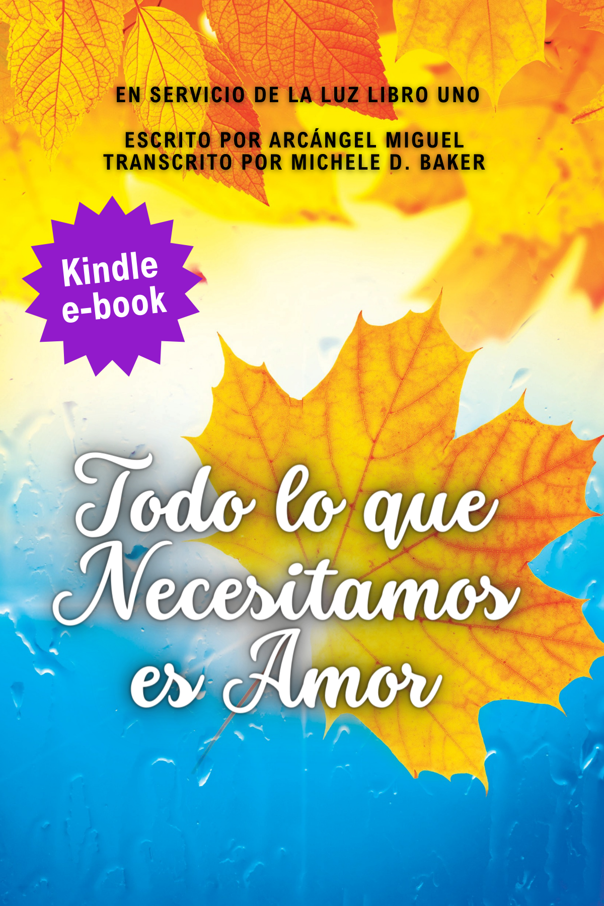 AWNIL Cover - Spanish eBook A (4 x 6 in).png