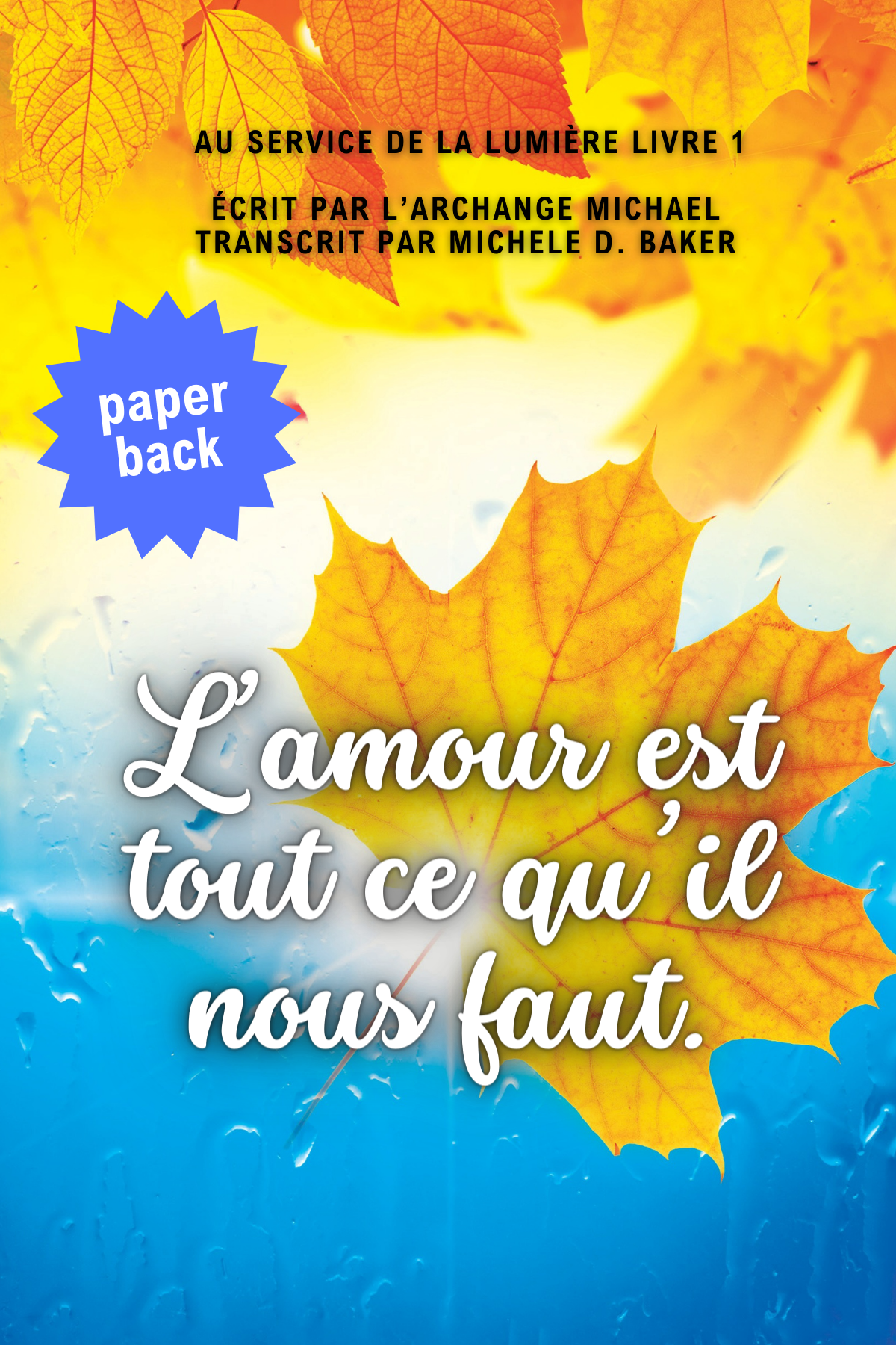 AWNIL Cover - French paperback A (4 x 6 in).png