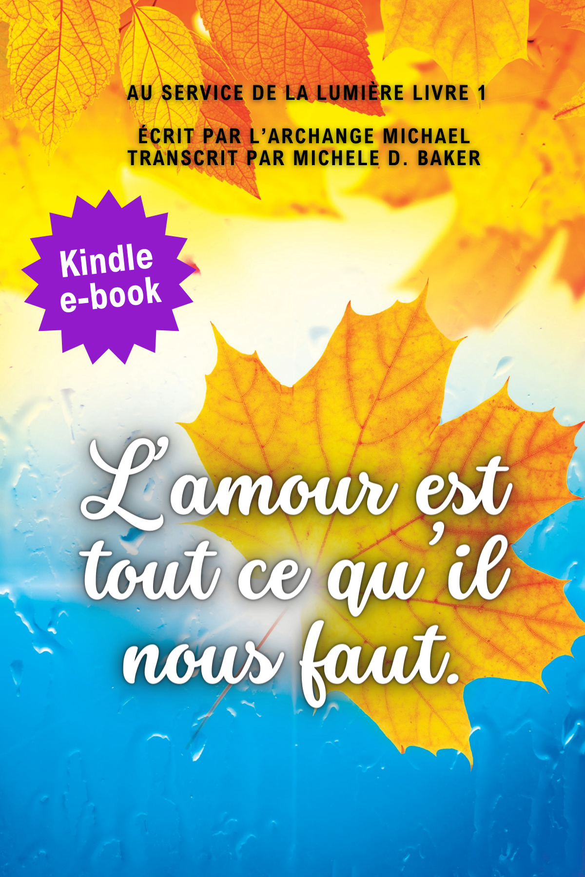 AWNIL Cover - French eBook A (4 x 6 in).png