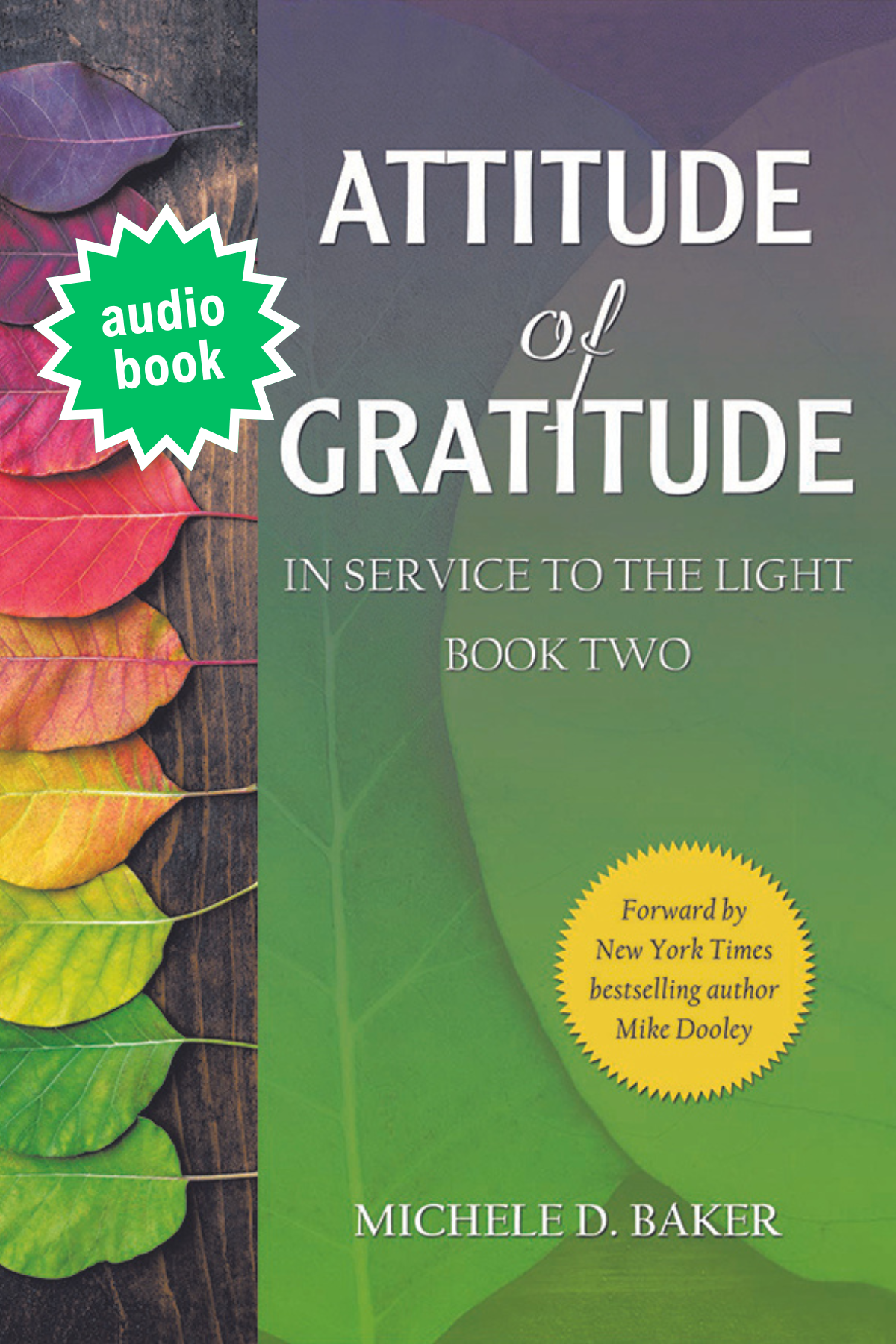 AOG audiobook Available (4 x 6 in).png