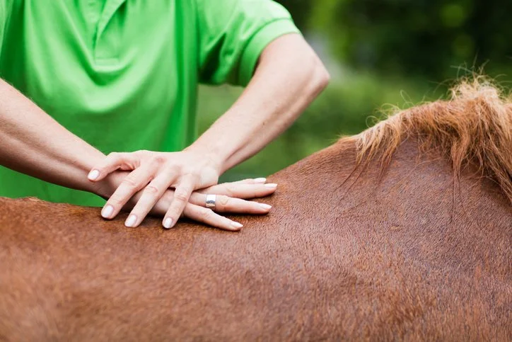iStock-822221386.jpg