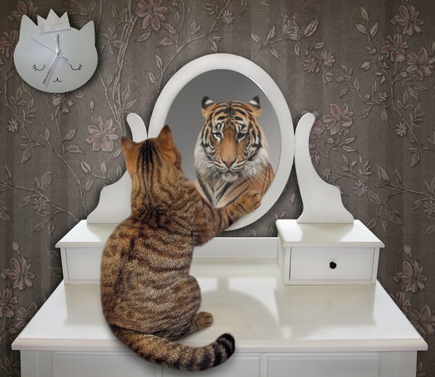 iStock-1094535674.jpg