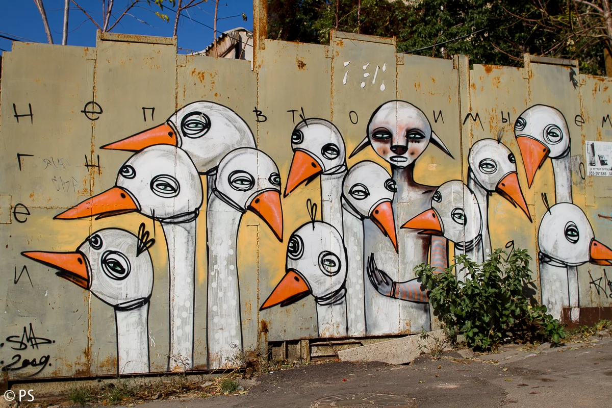 Klone, pic by Pavlina Schultz