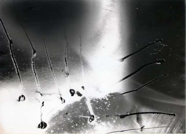 Header Image by Piotr Litwic