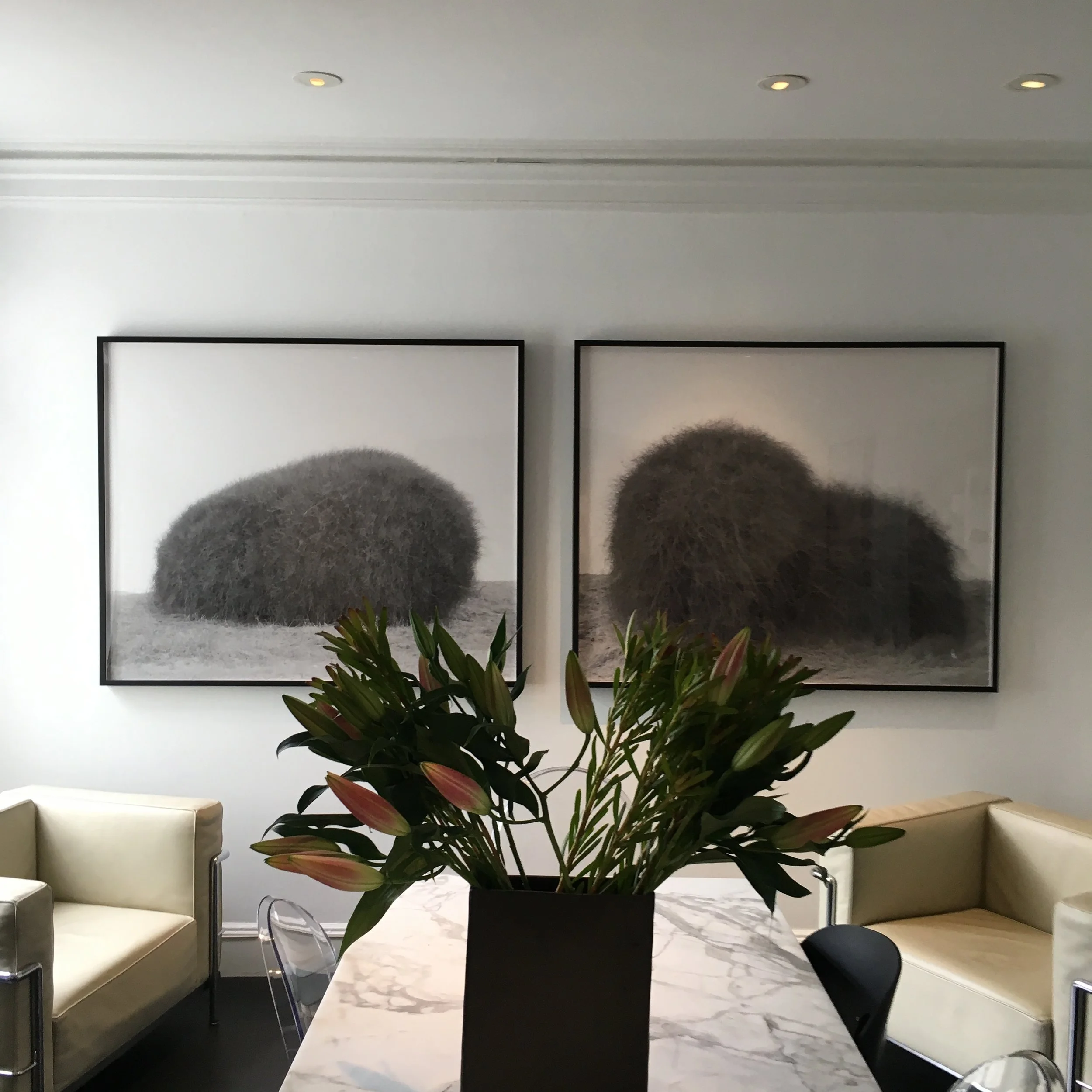 Insider Tips for Collecting Contemporary Art