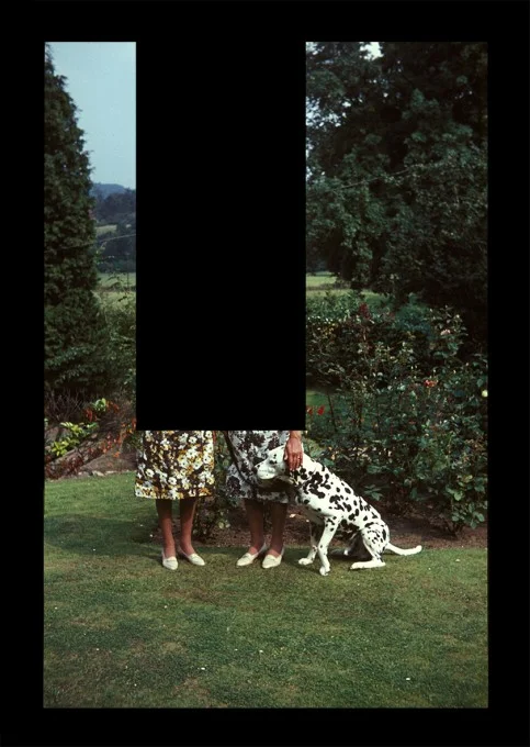 Yaron Lapid, Patterns (03), 2015, photographic composite from found image