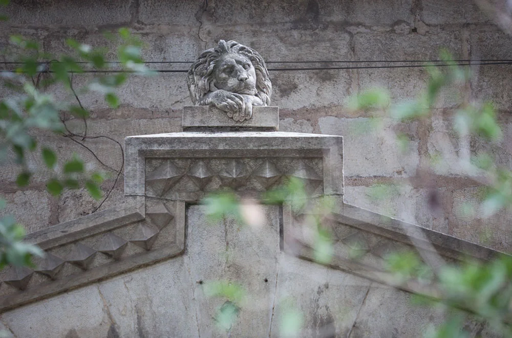 Image 3 .jpg