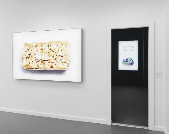 IMAGE Credits: Claire Fontaine, The Crack-Up, exhibition view Neuer Berliner Kunstverein, 2017 © Neuer Berliner Kunstverein / Jens Ziehe