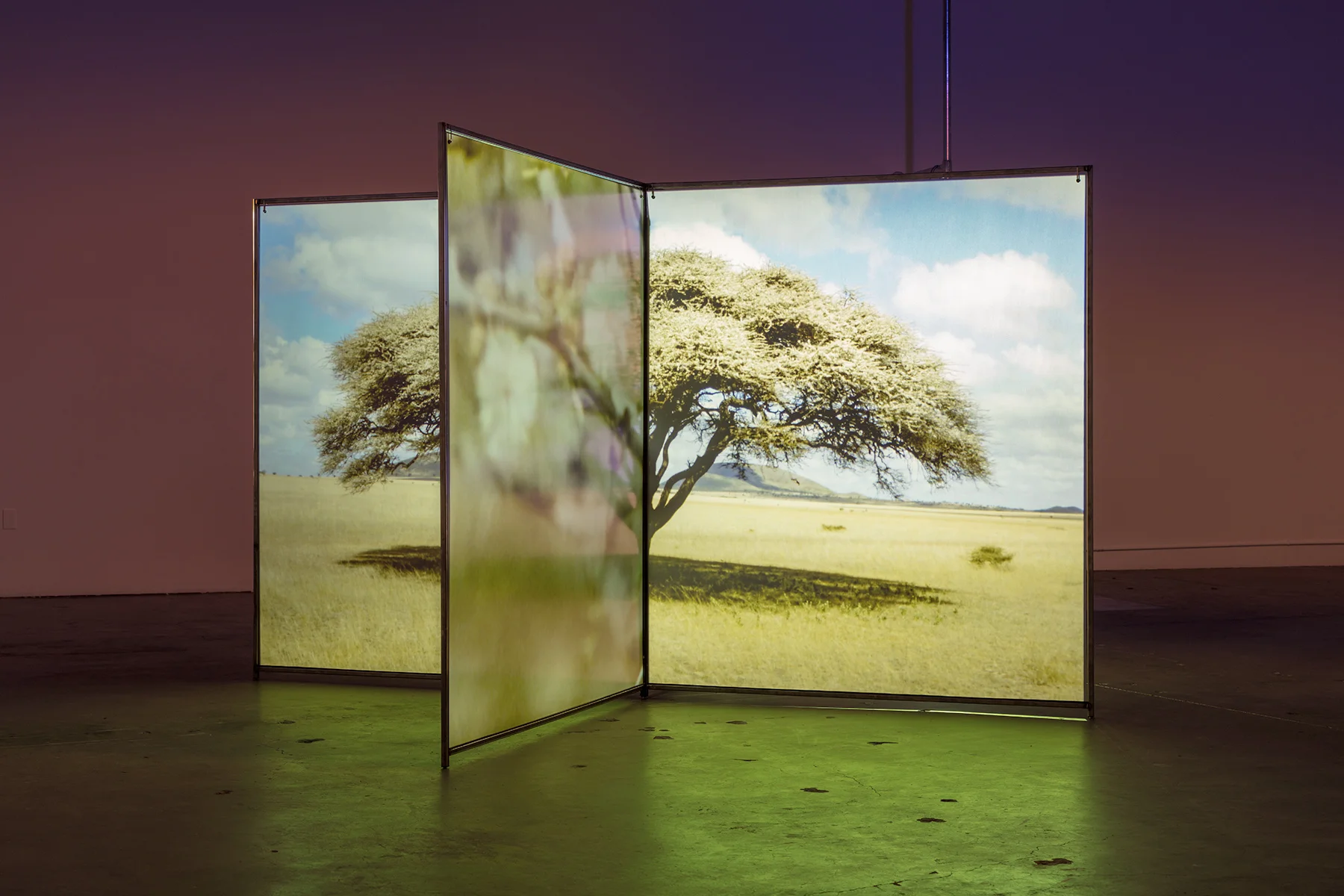Diana Thater, A Runaway World, 2016-2017. Video installation Dimensions variable. Installation view, The Mistake Room, Los Angeles. Photo Credit: Fredrik Nilsen © Diana Thater and The Mistake Room Inc.