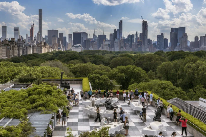 The Metropolitan Museum of Art