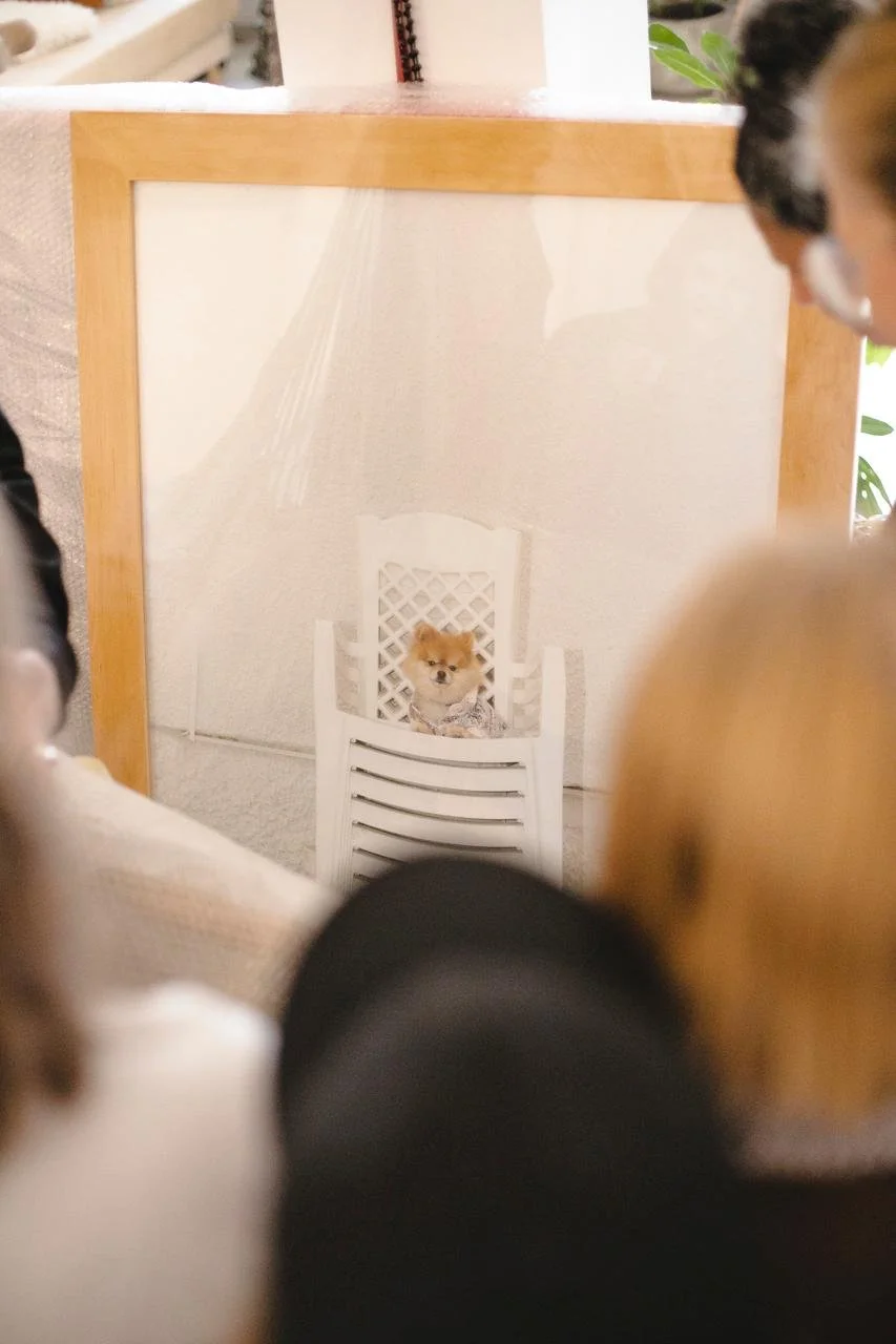 WhatsApp Image 2025-12-13 at 19.49.42 (1).jpeg