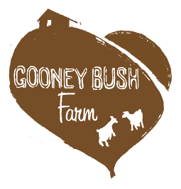 gooney bush fam