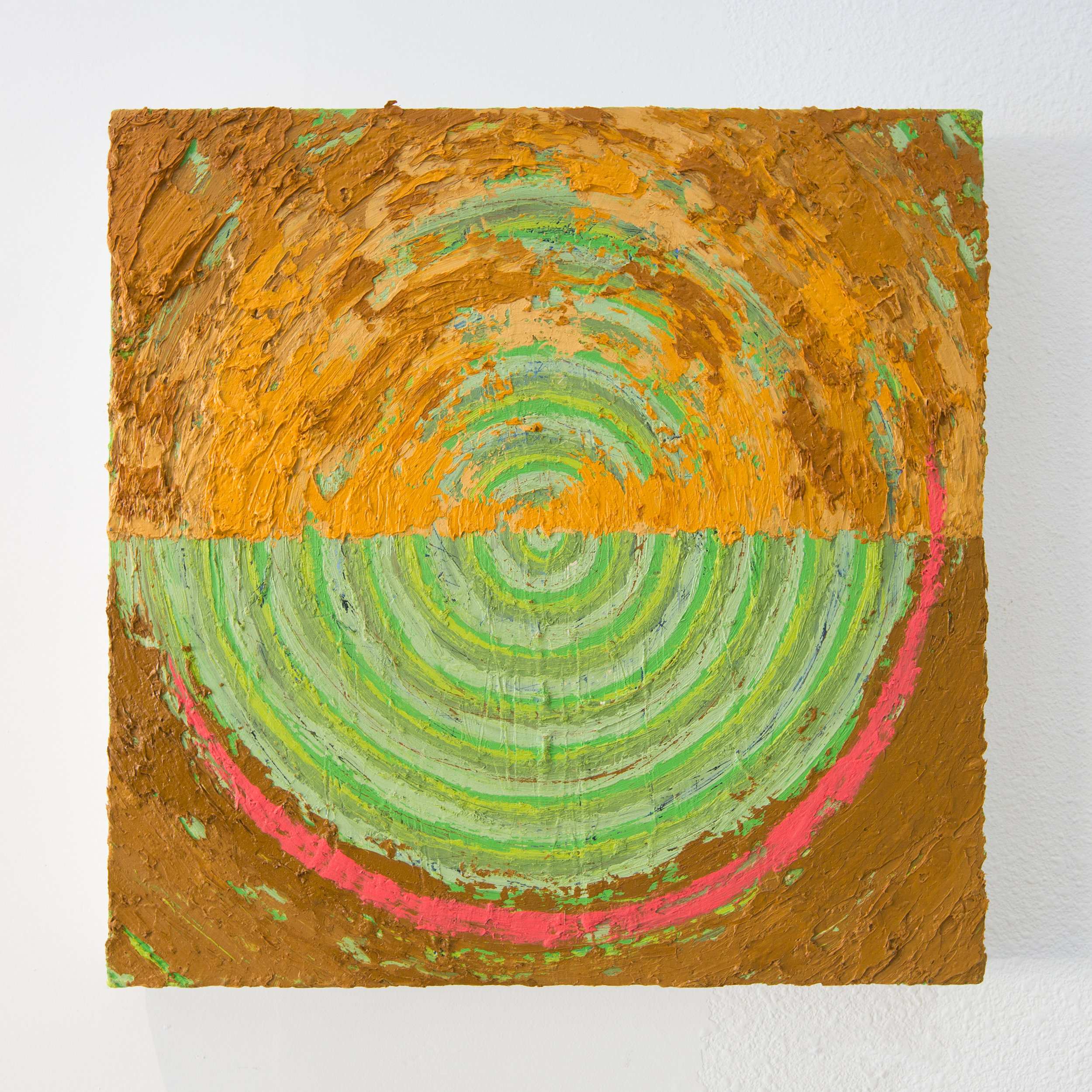 Joshua Thompson, Bore This Plain , 2015-17