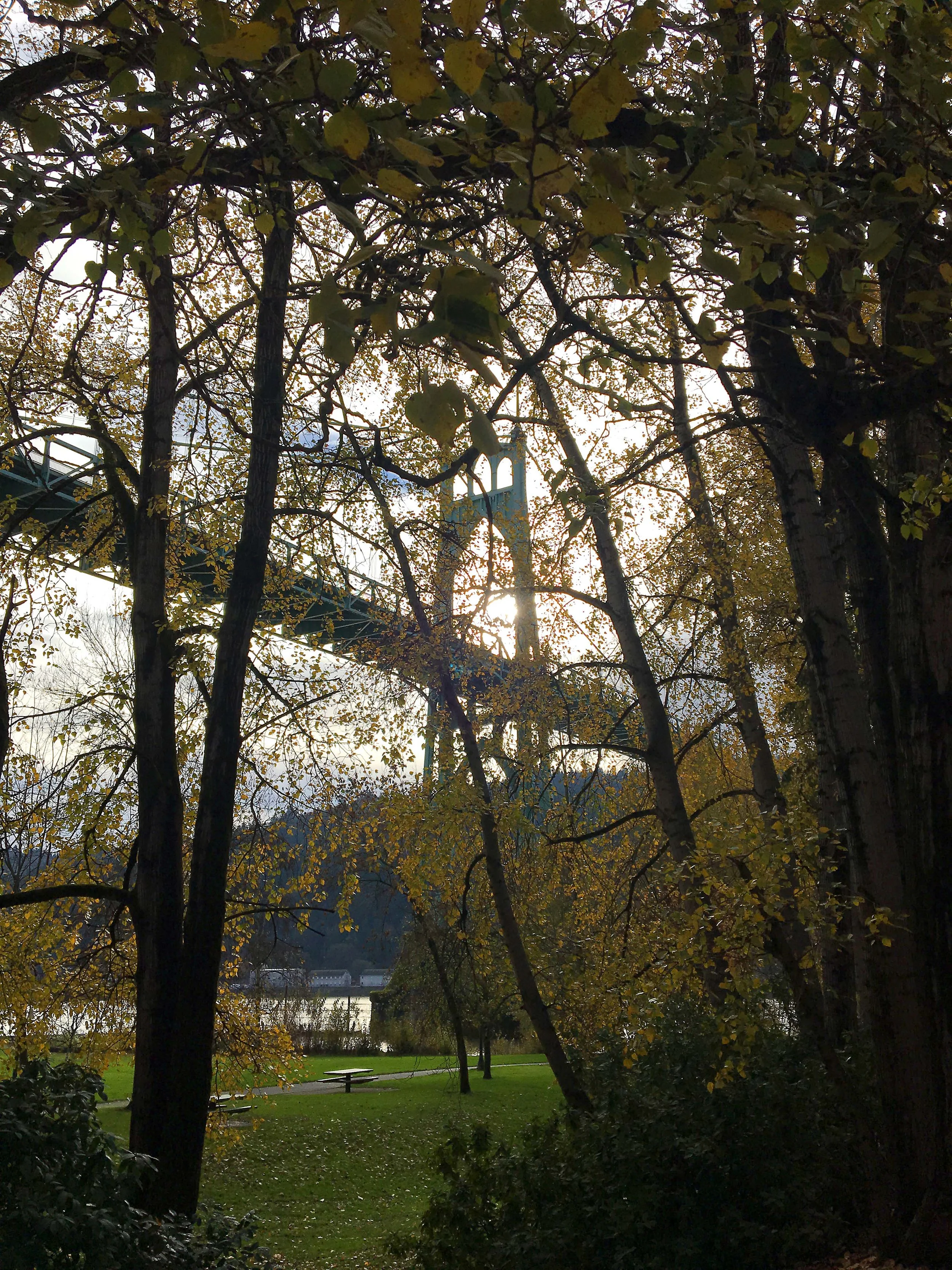 Nearly a religious experience at Cathedral Park.
