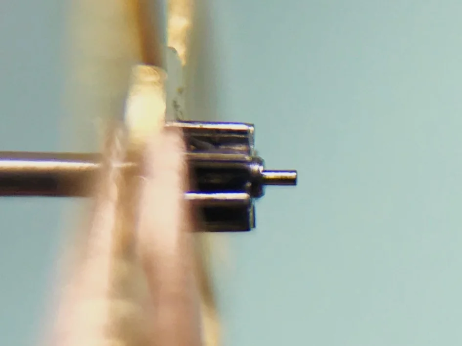 JPEG image-71092E9F8D86-1.jpeg