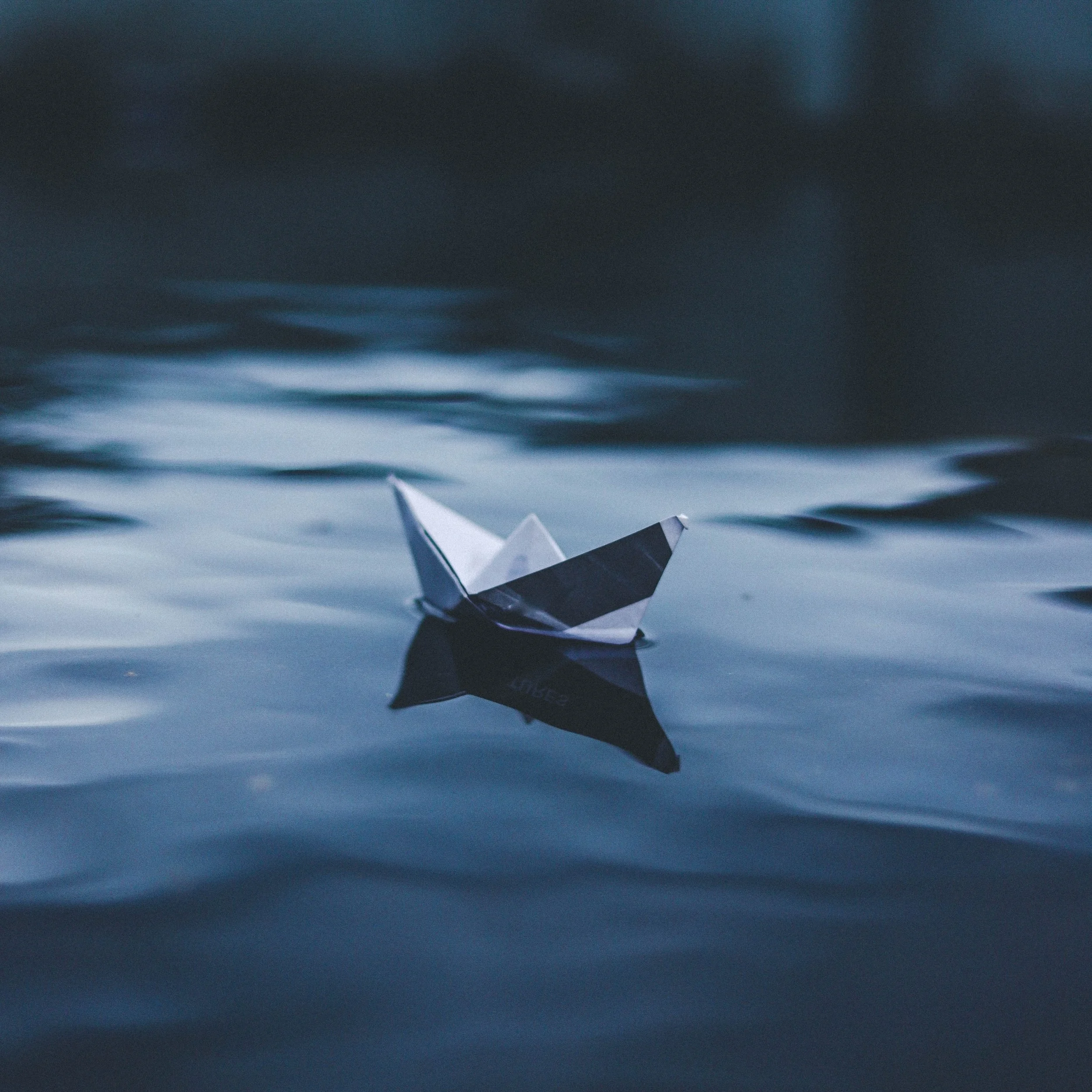 Trying To Save Everyone 