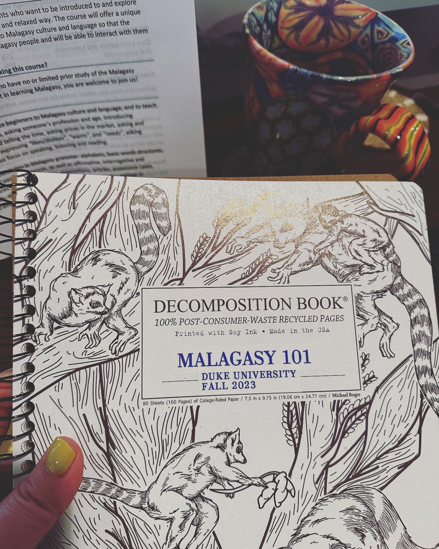 🎓📚 Taking on a new challenge as a student once again by auditing the Malagasy 101 class at Duke University! 🇲🇬 Being on the other side of the desk, absorbing knowledge and expanding my horizons, is an exciting experience! 🌱💫

Malagasy 101 offer